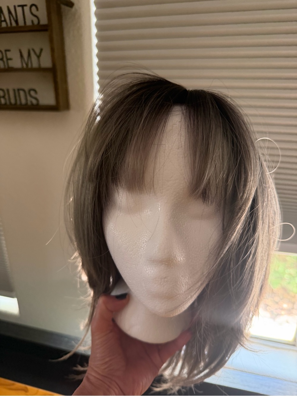 Women’s Short Layered Wig with Bangs - Brown Blonde